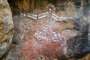 23 - Peinture aborigènes de type rayon X